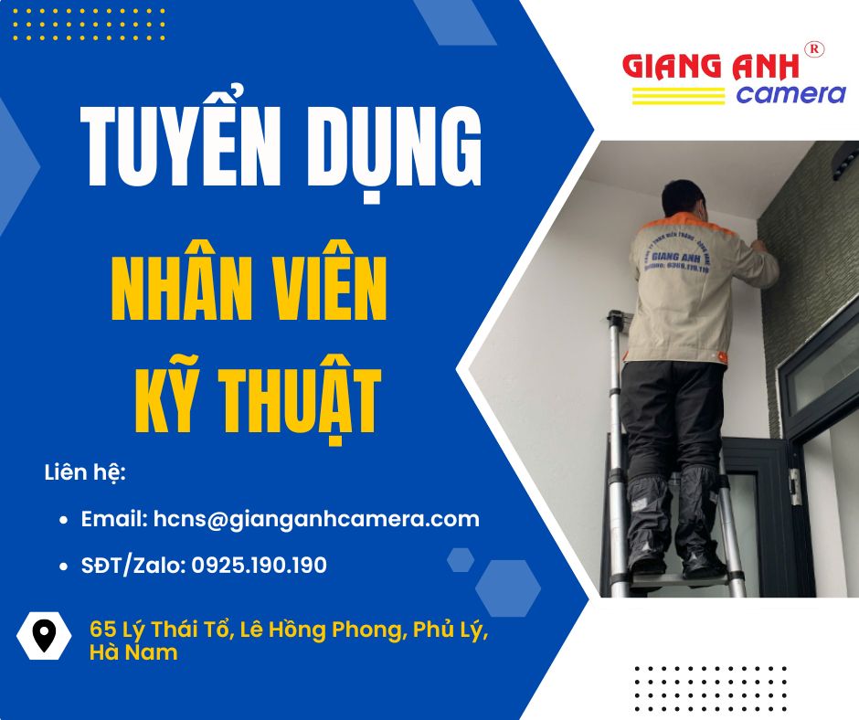 lĩnh vực hoạt động